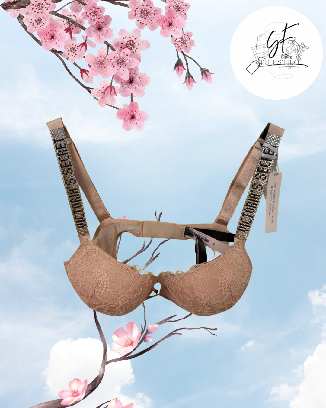 Bra Push-Up